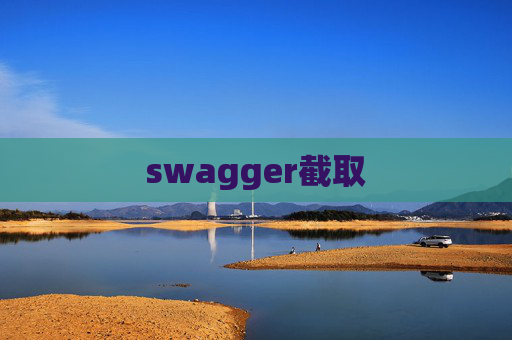 swagger截取